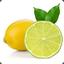 Lemon/Lime