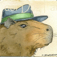 Mr.Capybara