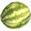 half life watermelon