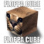 FLOPPA CUBE