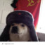 Mr.Comrade