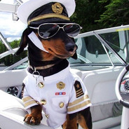 Captain Dawg