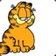 Garfield the best cat