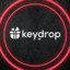 Дмитрий KeyDrop.com