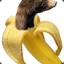 bananabear68