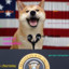 Prezident Doge