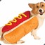 Hotdoggie