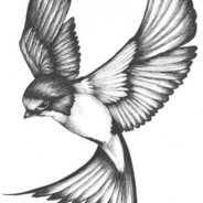theoldsparrow