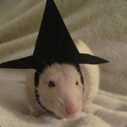 Soup the Rat - steam id 76561198157344272