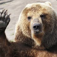 Grizzly - steam id 76561197965762849