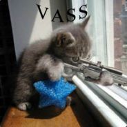 Mr vass