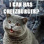 Cheezburger cat