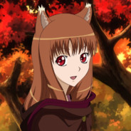 Holo the Wolf