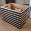 The Boxy Cat