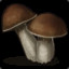 hobo_bring_mushrooms