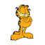 Garfield63