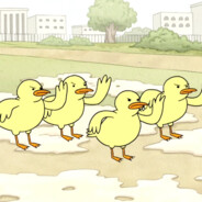 a bunch of baby ducks