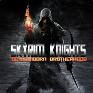 Skyrim Knights