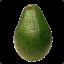 An Avocado