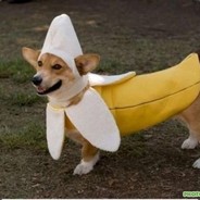 bananaboy