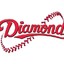 Diamondx 鑽石