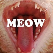 Meow ツ