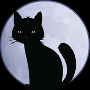 JokerfaceXIII steam account avatar