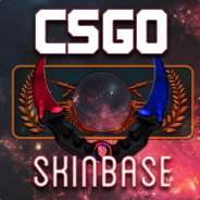 CSGOSkinBase