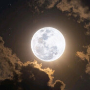 Moon LighT-