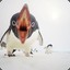 Carnivorous_Penguin