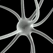 Neurone - Mitte blocken - steam id 76561197971024460