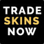 TradeSkinsNow.com
