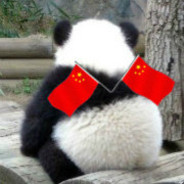 天才小熊猫