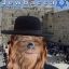 Jewish Wookie