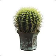 Cactus From Russia