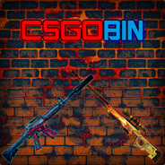 CSGOBin.com