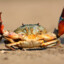 It&#039;s the crab