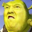 Donald Shrek