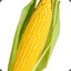cornfarmer