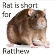 RatIsShort for Ratthew
