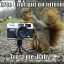 Mr. Photogropher Squirrel