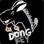 Dongkey
