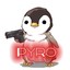Pyro Penguin