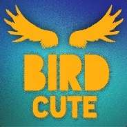 BirdCute