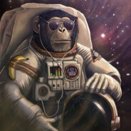 Space Primate