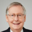 Kentucky Turtle Mcconnell