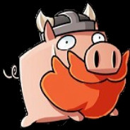 Dwarf Pig
