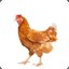 chicken_kiv_tendies