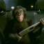 Monkey-✟