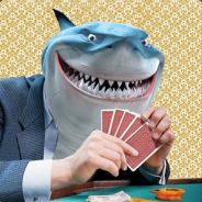 PA Card Sharks